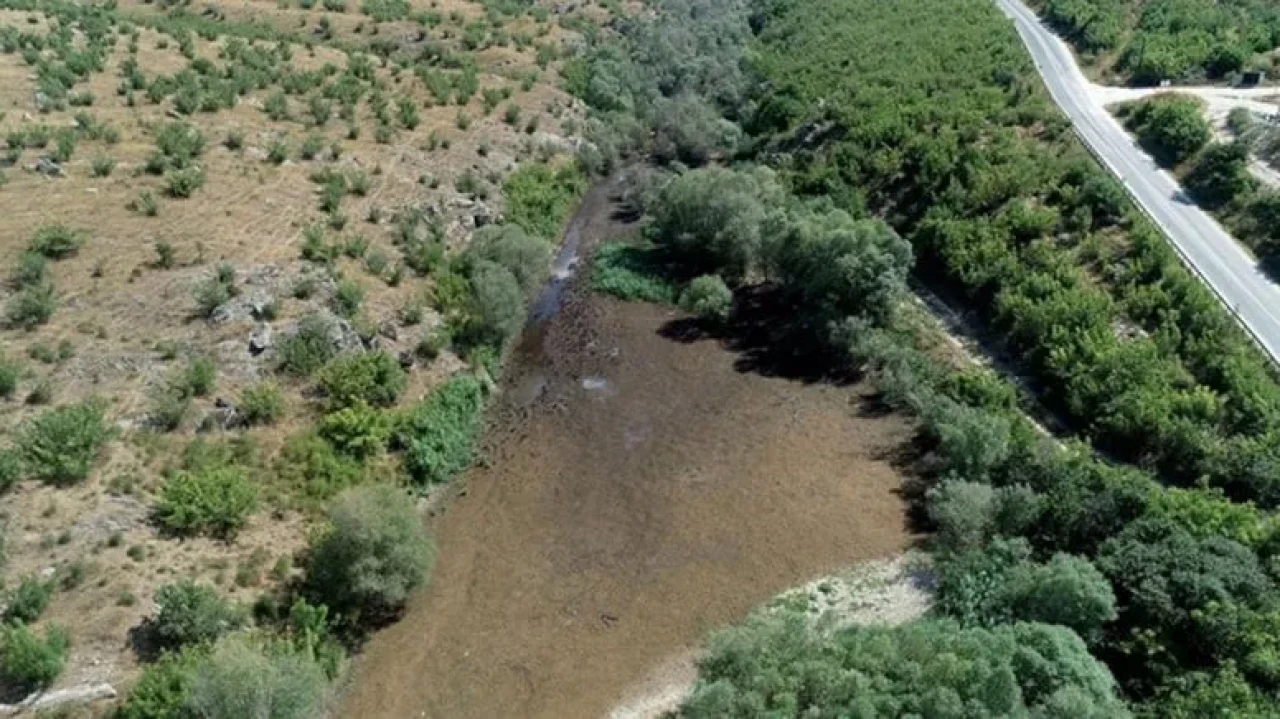 Kayalı köyündeki Teke Deresi'nde su seviyesi düşüyor, besiciler zor durumda kalıyor