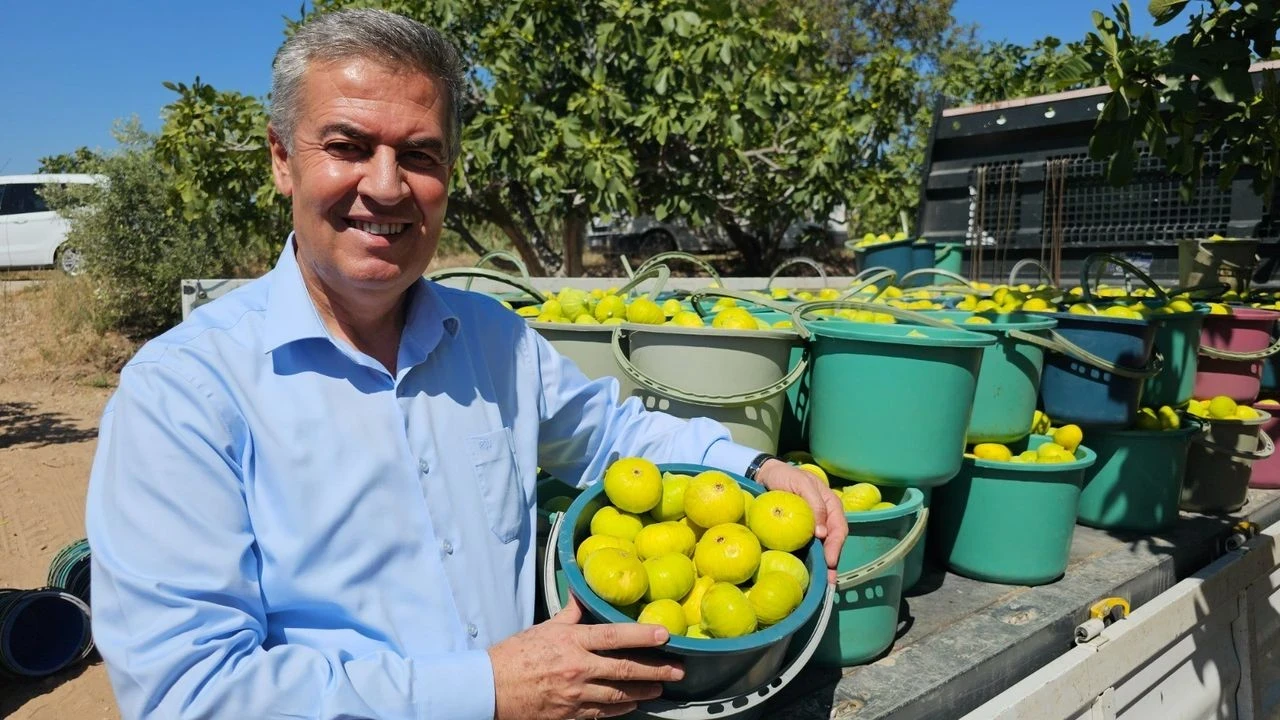 Buharkent'te taze incir ve sanat dolu festival 8-10 Ağustos'ta başlıyor!