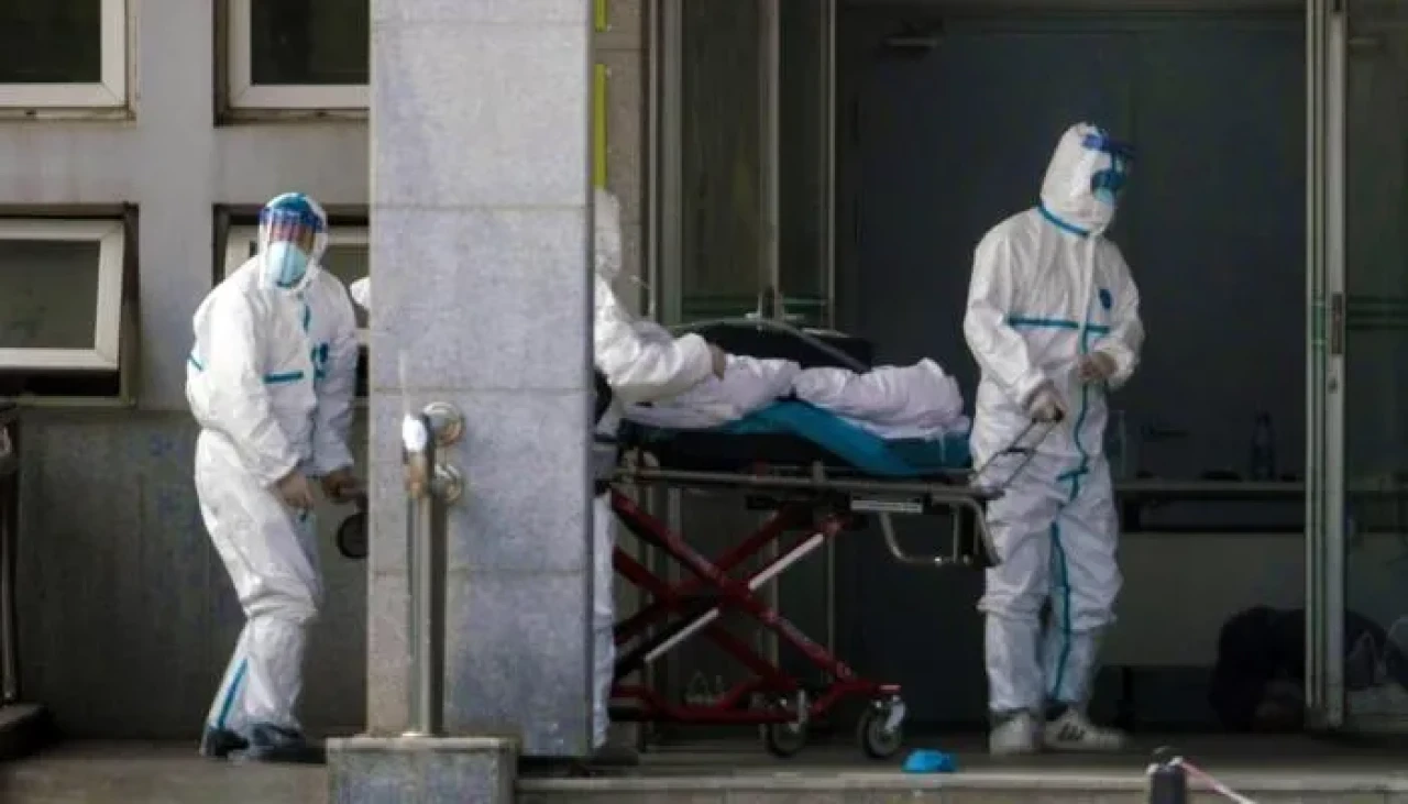 Chikungunya virüsü ABD'de alarm yaratıyor: Seyahat uyarısı yakında gelebilir