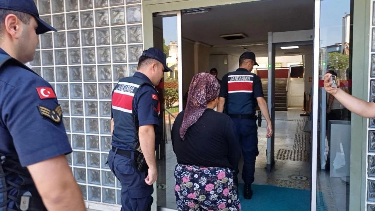 Aydın'da arazi kavgası yangın çıkardı, 3 hektar alan küle döndü!