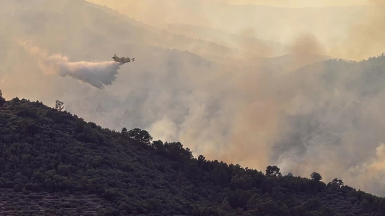Portekiz ve İspanya'da Alevler ve Sıcaklar Can Alıyor: Orman Yangınları ve Alarm Durumları yükseliyor