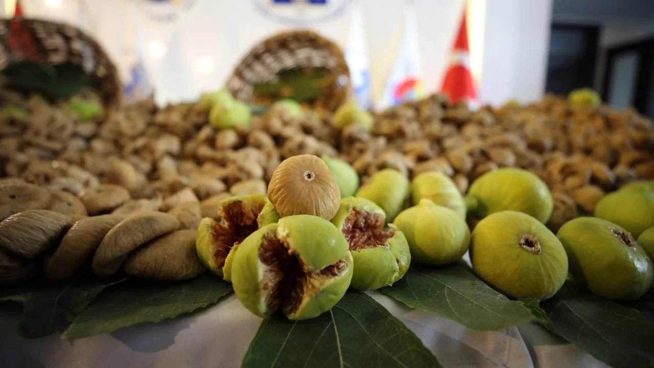 Aydın'da sezonun ilk kuru inciri, 400 liradan satın alındı; üretim beklentisi artıyor.