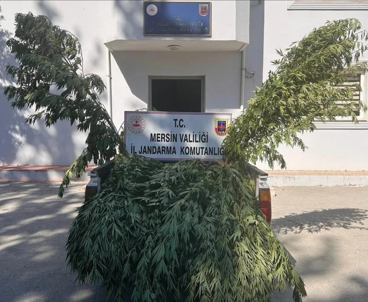 Mersin'de 5 ilçede yasaklı madde operasyonu: 8 gözaltı, çok sayıda ele geçirilen madde var