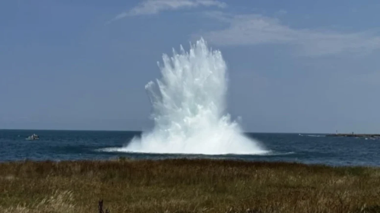 Mavi balinaların şarkıları yüzde 40 azaldı: Okyanus ekosisteminde alarm zilleri çalıyor!