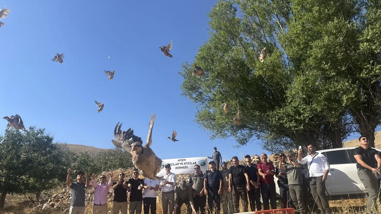 Kahramanmaraş'ta Kenelerle Mücadele İçin 10 Bin Keklik Hedefiyle Proje Başlatıldı