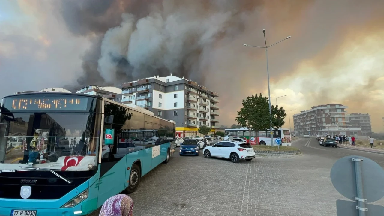 Çanakkale'de yangın ormana sıçradı, hastaneye yaklaştı; gemi trafiği tek yönlü olarak kapatıldı