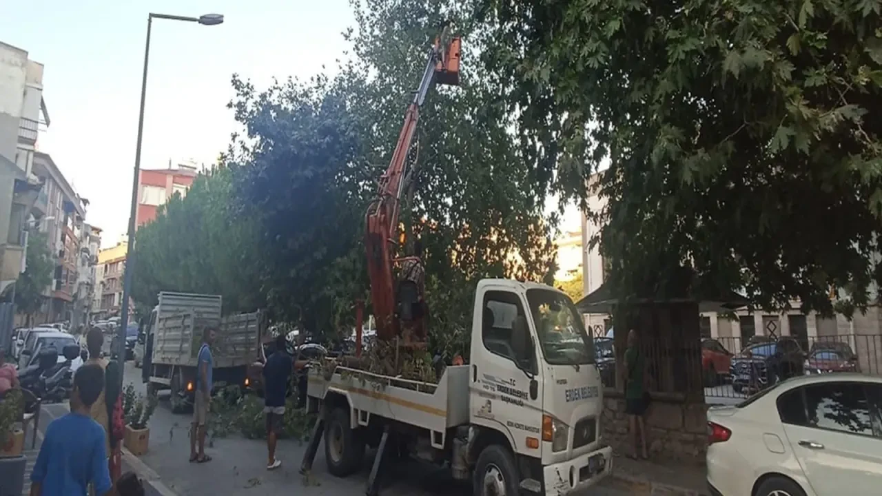 Erdek'te kuvvetli rüzgar, su deposunu devirdi, ağaçlar araçlara zarar verdi