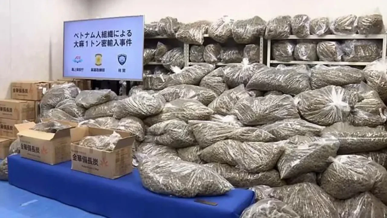 Japonya, tarihi narkotik operasyonunda 1.5 milyar TL'lik 1046 ton esrar ele geçirdi