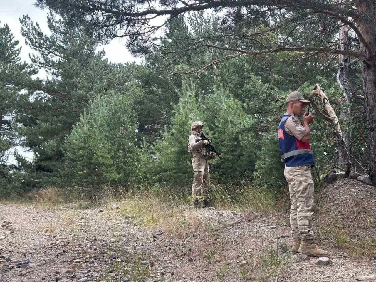 Erzurum'da Orman Yangınlarına Karşı Denetim: 11 Kişiye 32 Bin TL Cezalı Müdahale