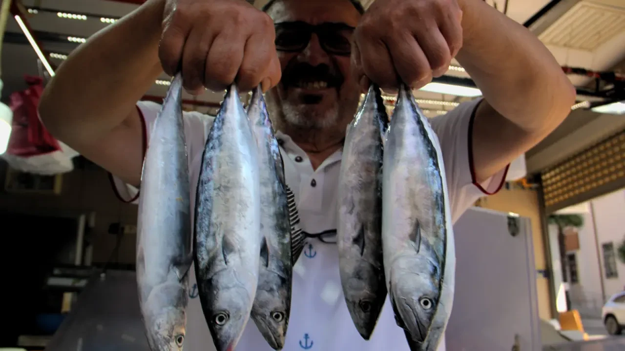 Palamut Fiyatları Rekor Kırdı: Tezgahlar Şenlendi Cebler Sarsıldı!