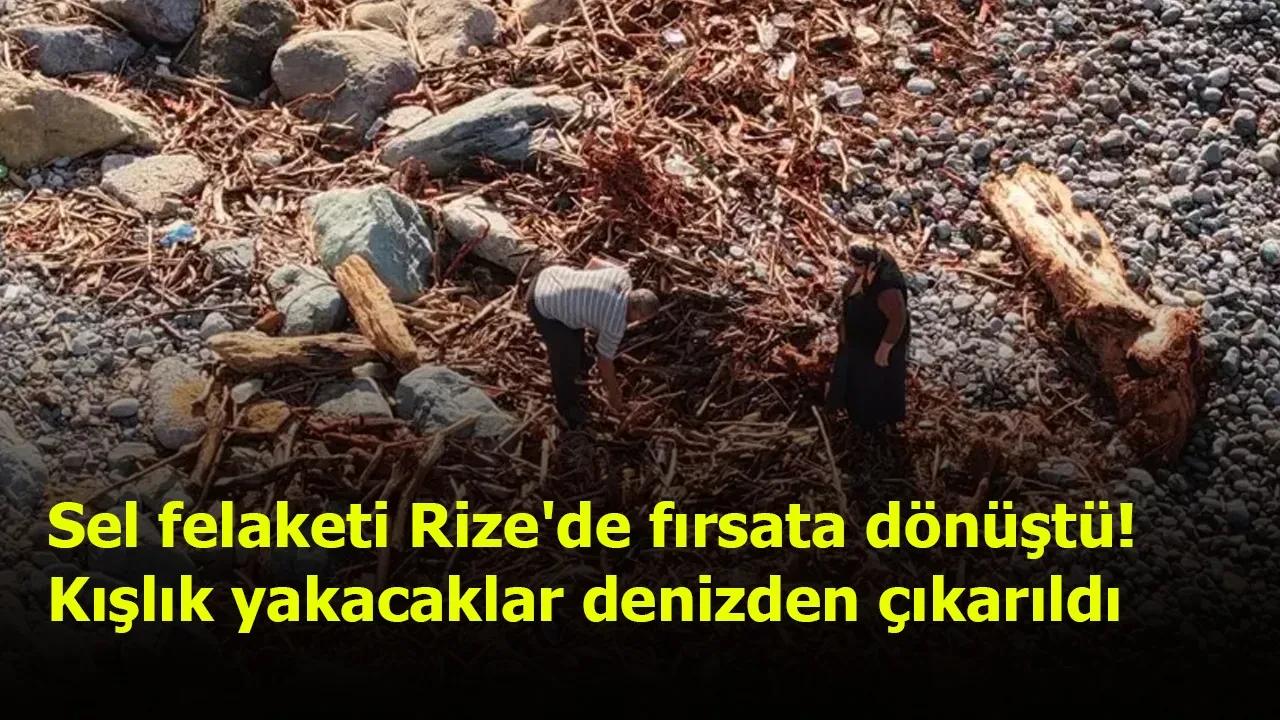 Sel felaketi Rize'de fırsata dönüştü! Kışlık yakacaklar denizden çıkarıldı