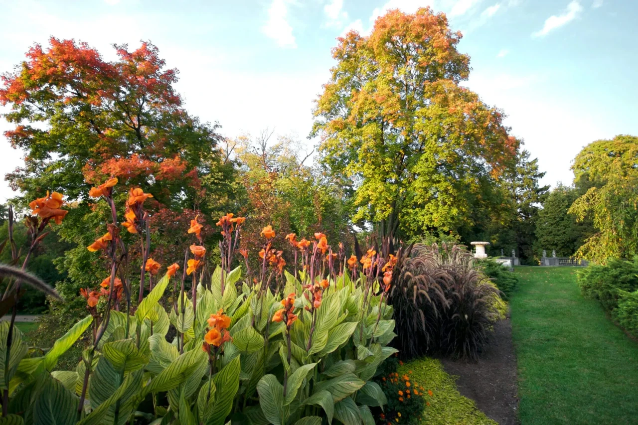 Sonbahar için bahçenizi yenilemenin püf noktaları: Çim bakımı ve renkli çiçekler ekleyin!