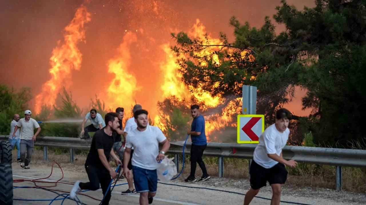 Bütçe eriyor, ormanlar yanıyor: OGM’nin bütçe payı kuşa döndü