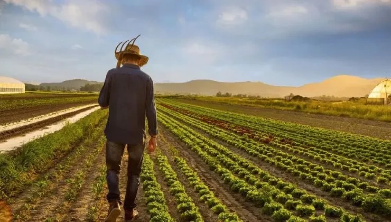 Cumhurbaşkanı kararı: Konyalı çiftçiler bu destekten yararlanacak!