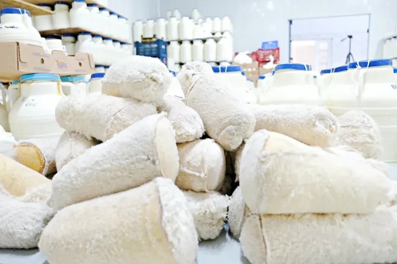 Resmî Gazete’de Yayımlandı: ABD Menşeli Ürünlere Ek Mali Yükümlülük Uygulaması Kaldırıldı