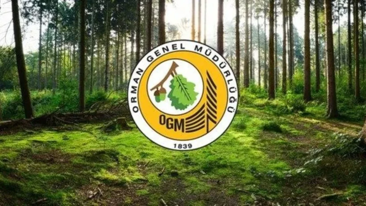 OGM, Engelli ve Eski Hükümlü 262 Daimi İşçi Alacak!