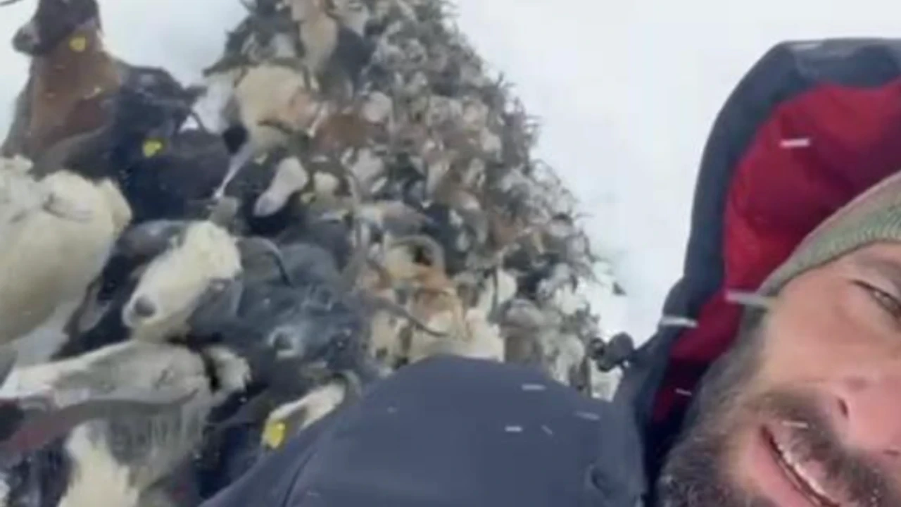 Kar yağışı 500 hayvanı mahsur bıraktı, yayla halkı dayanışma ile kurtardı