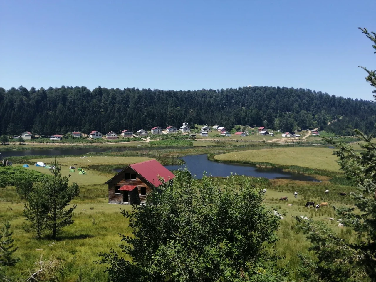 Sakarya Kamp Alanları: Doğayla Baş Başa Huzurlu Bir Deneyim