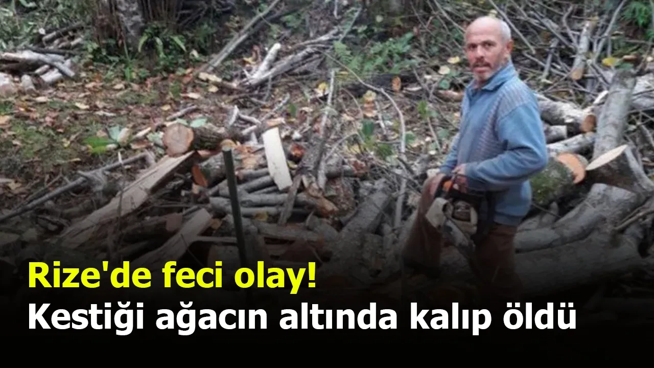 Rize'de ağaç keserken hayatını kaybeden 61 yaşındaki adamın cesedi Adli Tıp'a gönderildi.