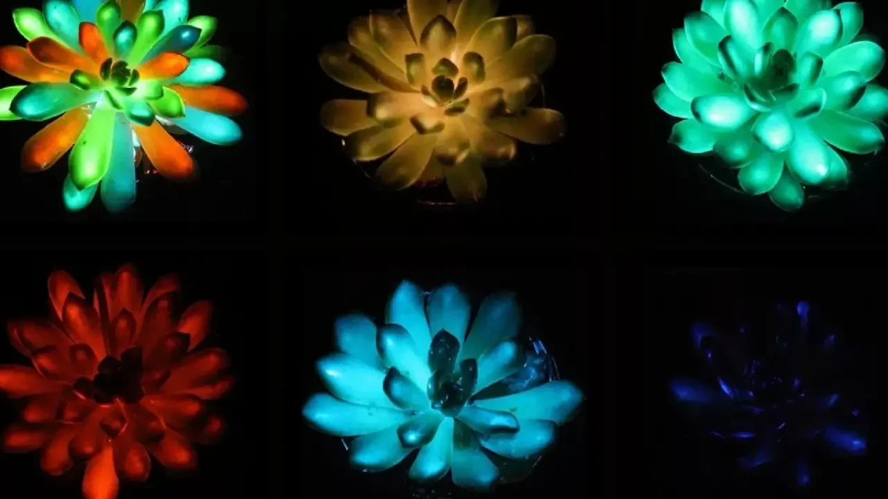 Avatar gerçek oluyor: Çin’de parlayan bitkiler üretildi