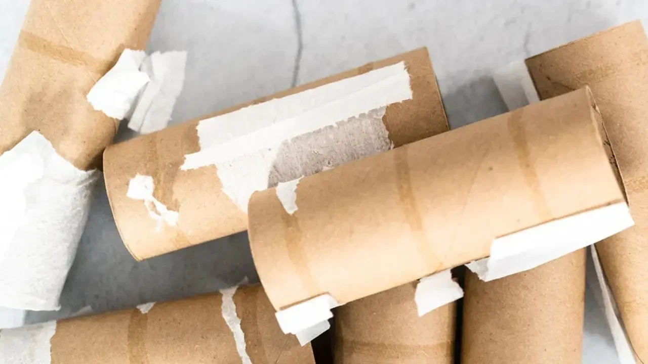 Bahçıvanların Bilmediği Sır: Tuvalet Kağıdı Rulosuyla Elde Edilen Beklenmedik Verimlilik!