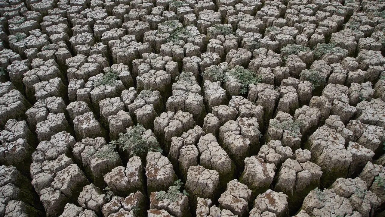 Kuraklık nedeniyle Şerbettar Köyü'ndeki gölet tamamen kurudu, hayvanların su ihtiyacı tehlikeye girdi.