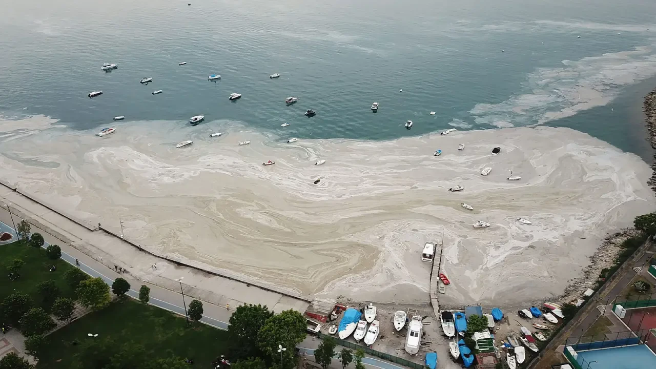 Marmara Denizi'nde müsilaj tehdidi derinlere iniyor, acil önlemler şart!