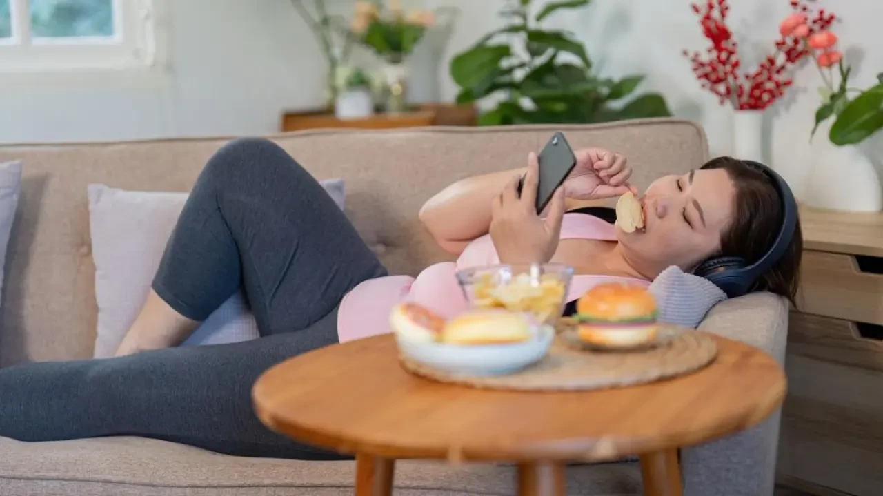 Sedanter Yaşam Tarzının Popülaritesinin Arkasındaki Sebepler