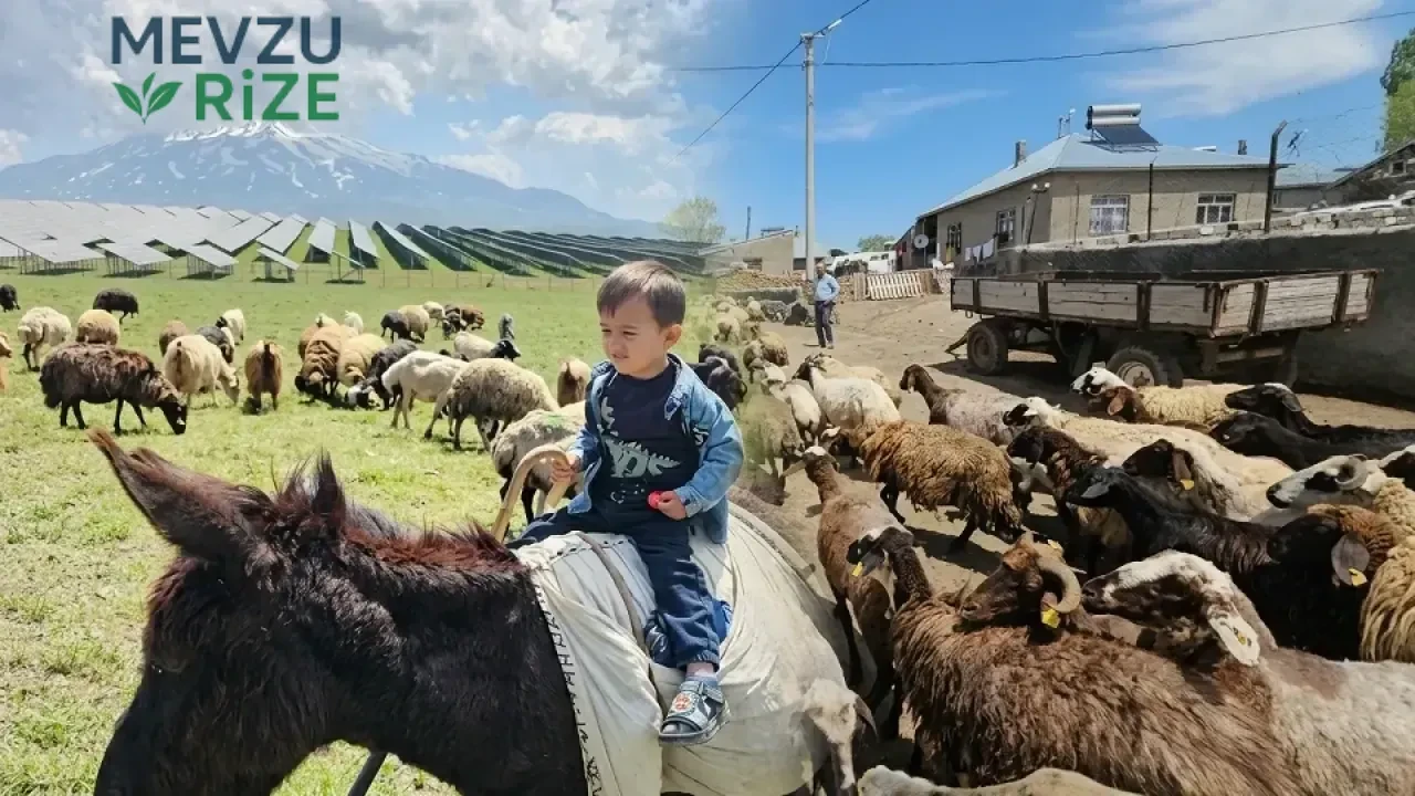 Bitlis’te Yüzyıllık Gelenek Tekrar Hayat Buldu: Vatandaşlar Gün Boyu Coşkuyla Katılıyor!