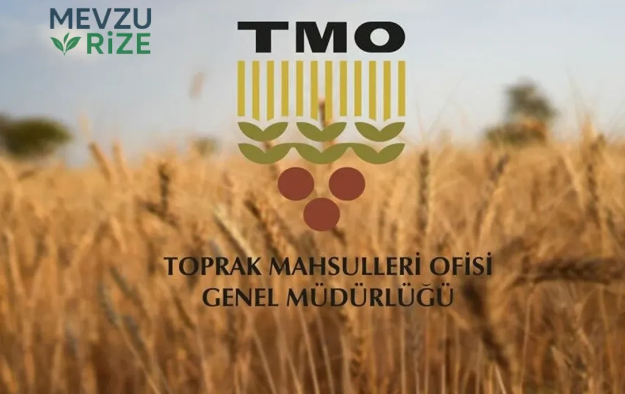TMO Fiyat Listesi 2026 Nohut ve Fındık Ne Kadar?