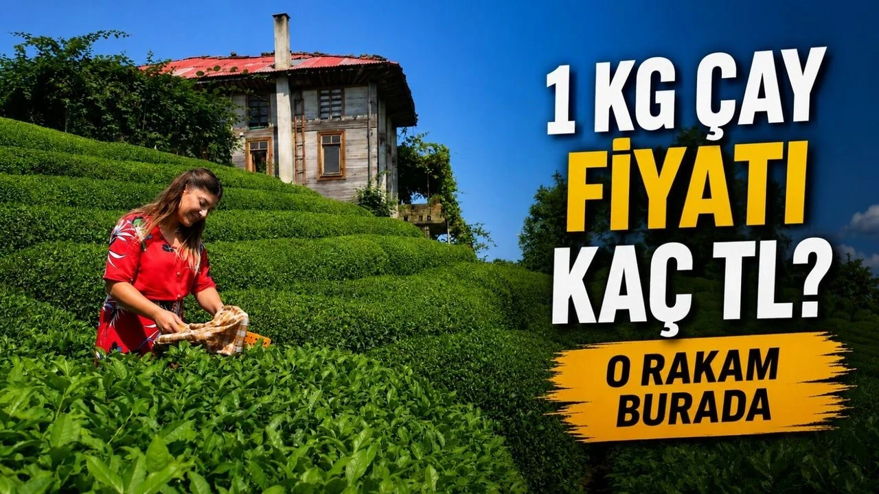 Çaya Zam Geldi! 1 Kg ÇAYKUR, Lipton ve Doğuş Çay Fiyatları Ne Kadar Oldu? İşte Güncel Liste