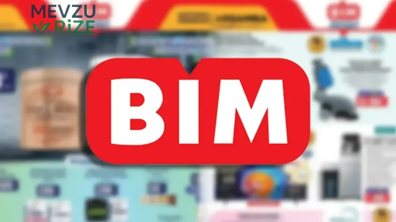 BİM 7-10 Temmuz aktüel kataloğu: BİM'e bu hafta hangi indirimli ürünler geliyor? Yazlık şortlar, protein tozu, saklama kapları