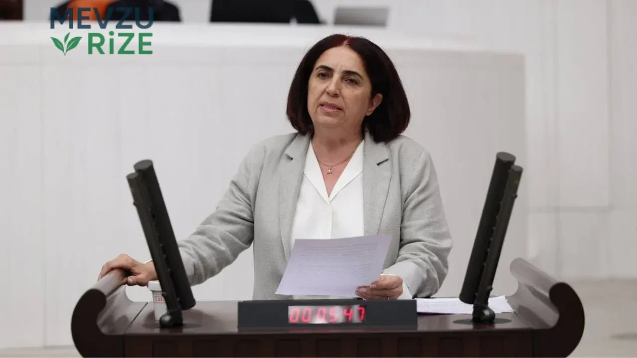 Narin Güran’ın katledilmesinin ikinci yılı: Meclis'te araştırma önergesi verildi