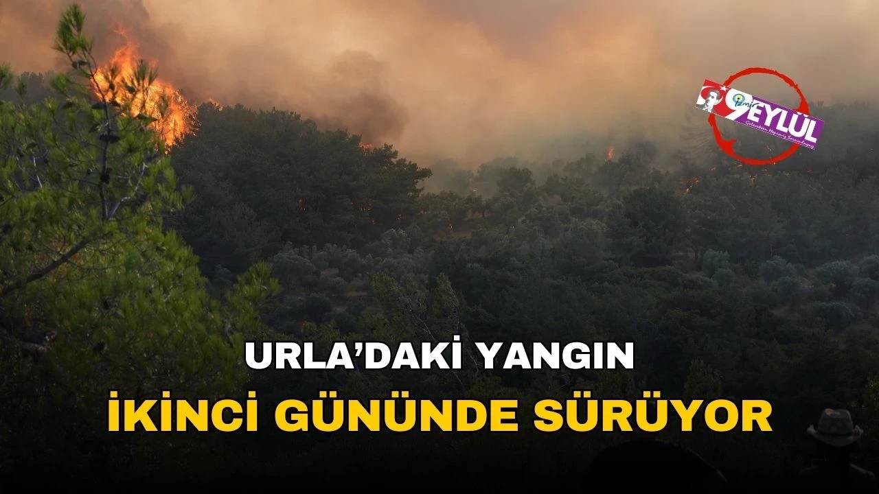 Urla'daki orman yangınına müdahale devam ediyor, 583 personel ve 17 hava aracı alevlerle savaşmakta.