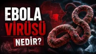 Ebola Virüsü Nedir, Nasıl Bulaşır, Belirtileri Neler, Aşısı Var mı? Ebola Hakkında Tüm Detaylar