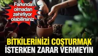 Bitkilerinizi Beslerken Dikkat! Farkında Olmadan Zararlı Olabileceğiniz 5 Hata
