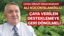 Çayeli Ziraat Odası Başkanı Ali Küçükislamoğlu “Çaya verilen desteklemeye geri dönülmeli”