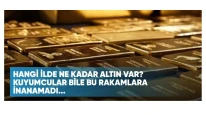 Her İlin Altın Stoğu: Kuyumcuların Dahi Şaşırttığı Rakamlar Açıklandı!