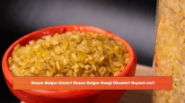 Beşan Bulgur Kimin? Beşan Bulgur Hangi Ülkenin? Boykot mu?