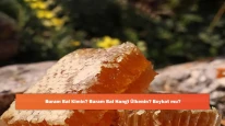 Buram Bal Kimin? Buram Bal Hangi Ülkenin? Boykot mu?