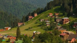 Beşerî Durum ve Ekonomi