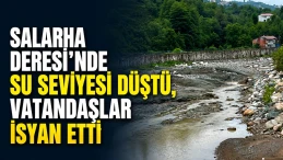 Rize'deki Salarha Deresi'nde su azalması endişe yarattı, HES'ler suçlanıyor