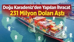 Doğu Karadeniz'den yapılan ihracat 231 milyon doları aştı