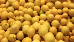 Limon ithalatındaki gümrük vergisi geçici olarak düşürüldü