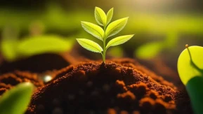 Gübre Fiyatlarını Dengelemek İçin Alınan Yeni Vergi Kararı Neleri Kapsıyor?