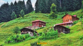 Karadeniz’de Köyüne Dönüp İş Kurmak İsteyenler Bu Destekleri Araştırıyor: Kırsal Turizm ve Yayla Yatırımları Yeniden Gündemde