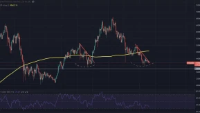 Bitcoin ve Altcoinlerde Yükseliş Trendine Dair Michael Van de Poppe'den Önemli Değerlendirmeler