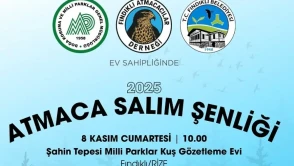 Fındıklı’da Doğaya Atmaca Salım Şenliği 8 Kasım’da Yapılacak