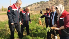 Kırıkkale'de Yerel Üreticilere Destek ve Teşvik Programları Devam Ediyor!