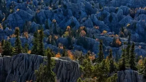 Cengiz’e hiçbir karar işlemiyor: Koruma altındaki alanda maden arama izni